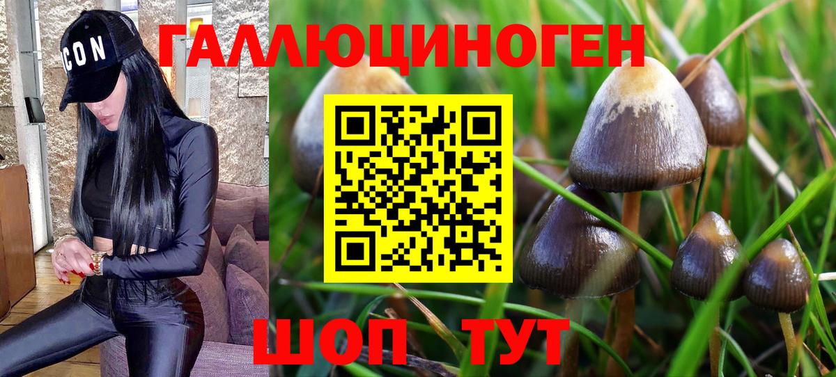 Псилоцибиновые грибы Magic Shrooms Тобольск